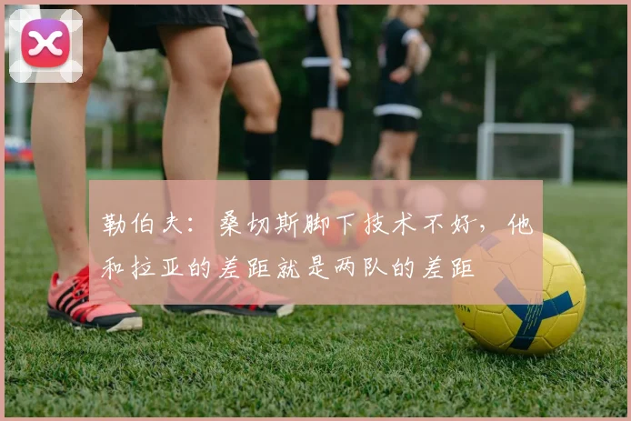 勒伯夫：桑切斯脚下技术不好，他和拉亚的差距就是两队的差距
