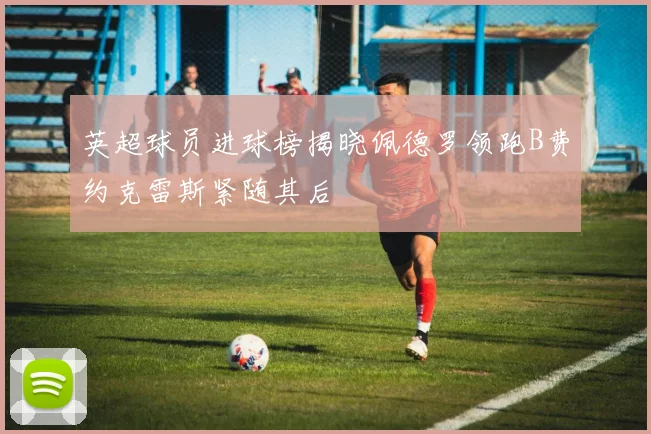 英超球员进球榜揭晓佩德罗领跑B费约克雷斯紧随其后