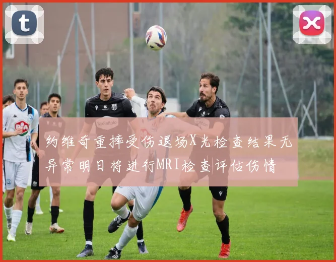 约维奇重摔受伤退场X光检查结果无异常明日将进行MRI检查评估伤情