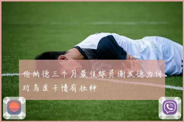 伦纳德三个月最佳球员谢泼德为何对乌度卡情有独钟