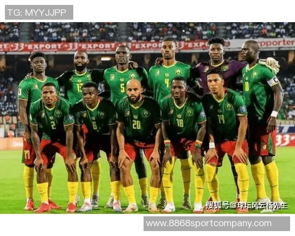 世界杯参赛队伍已定28支亚非直通名额全部确认